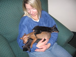 meeting pups 4