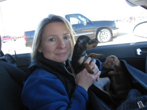 meeting pups 7
