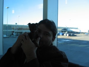 meeting the pups 5