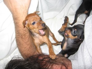 playing with daddy