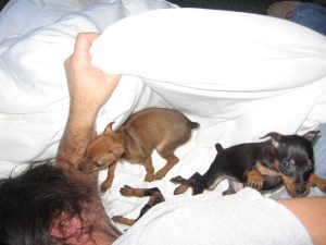 playing with daddy2