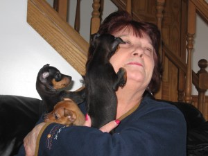 dottie meets pups