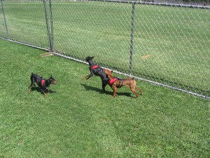 colorado 10 telluride