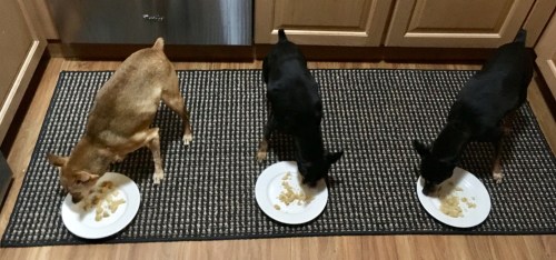 E7BA5BEE-C56D-4AA2-9393-004FF579DC8E