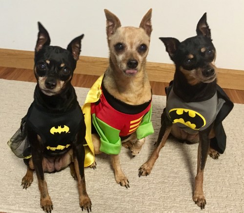 7BF49623-2079-4042-9466-C7A4B4308F4E