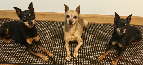 22126410-2788-46BA-BC11-D543B3CF2386