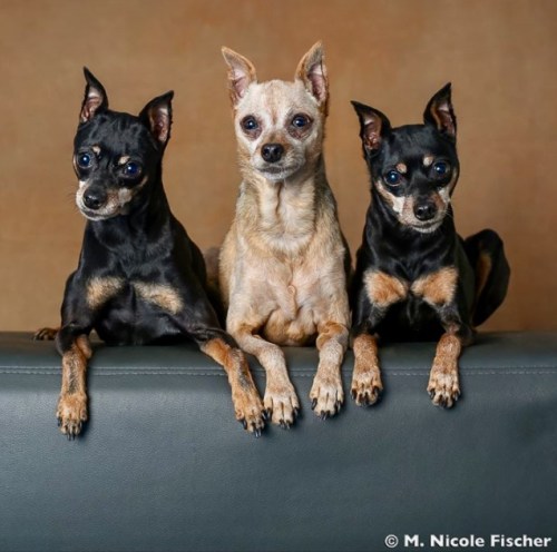 CEE65BF7-692B-4B4E-BCFD-80BC2B83C249