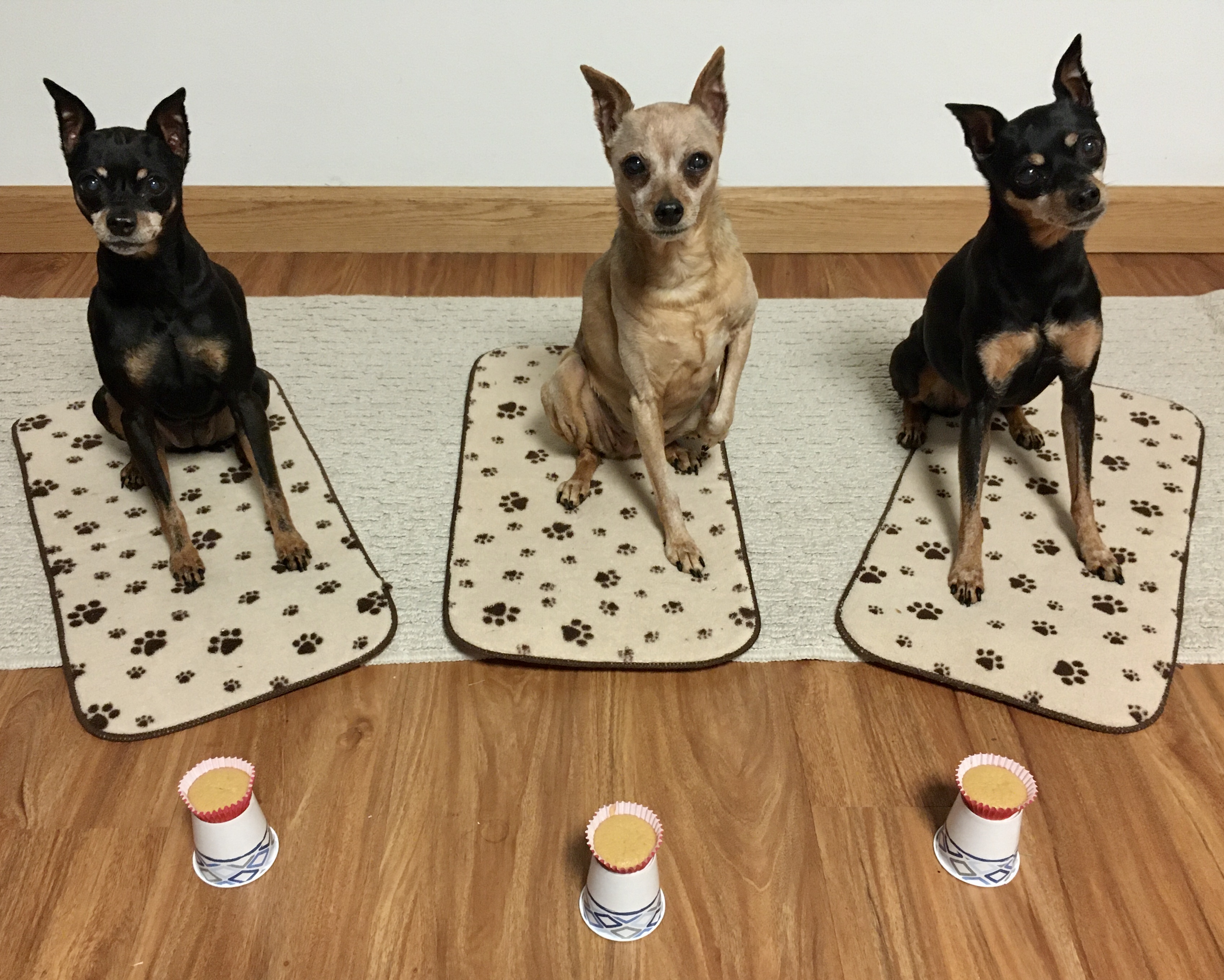 AE865141-FE76-4882-8E1C-1AF9D9B0642A