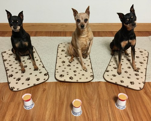 AE865141-FE76-4882-8E1C-1AF9D9B0642A