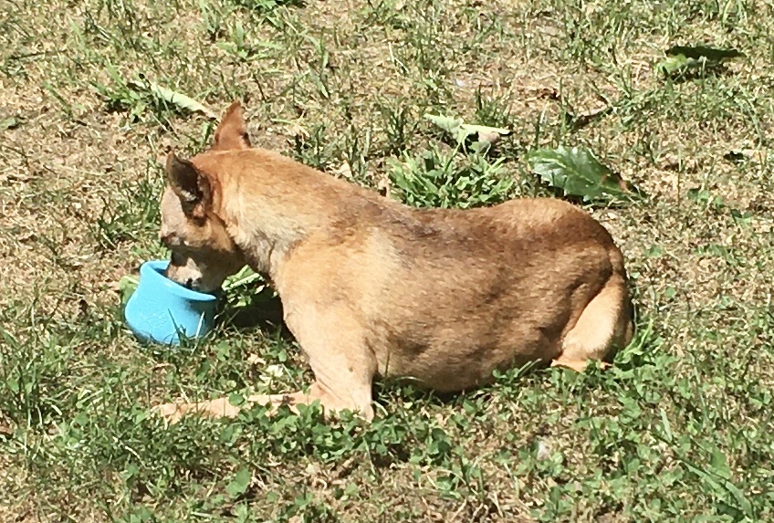 41B1CB40-90DE-494E-B44A-2754A62F3E40